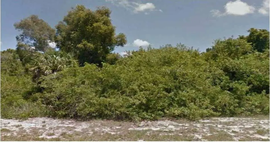 6509 Clarkson Ave, Bell, Los Angeles, California, United States 90201, ,Vacant land,For sale,Clarkson Ave,D5794893