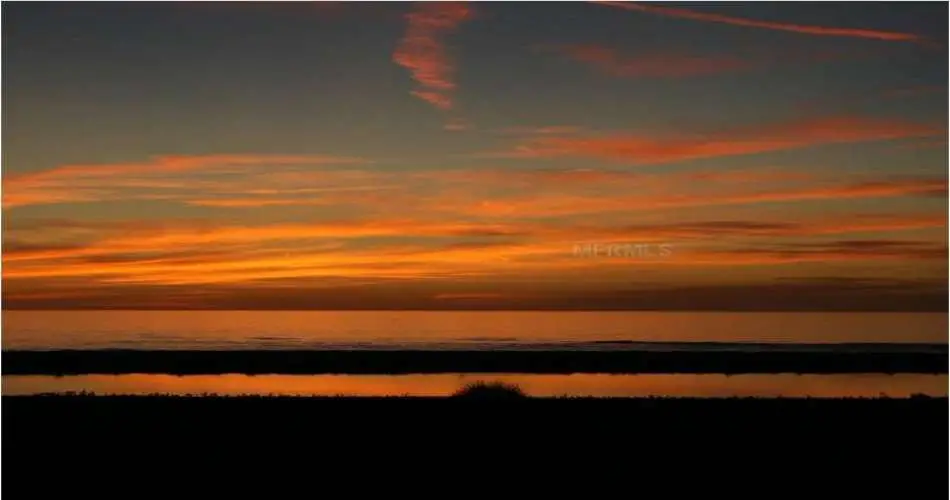 15325 S Lime Ave, Compton, Los Angeles, California 90221, ,Vacant land,For sale,S Lime Ave,D5795021