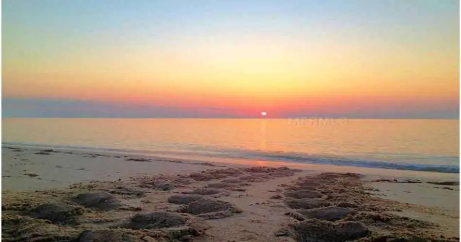 15325 S Lime Ave, Compton, Los Angeles, California 90221, ,Vacant land,For sale,S Lime Ave,D5795021