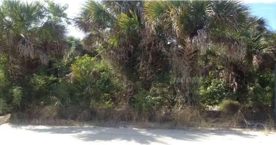 2825 N Walnut Ave, Signal Hill, Los Angeles, California, United States 90755, ,Vacant land,For sale,N Walnut Ave,D5795756