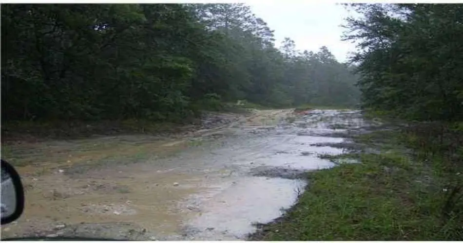 1432 Norton Ave, Glendale, California 91202, ,Vacant land,For sale,Norton Ave,F1001141