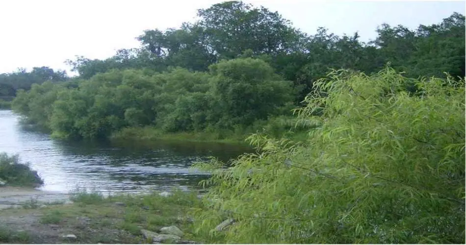 2827 Del Amo Blvd, Lakewood, California 90712, ,Vacant land,For sale,Del Amo Blvd,F1002445