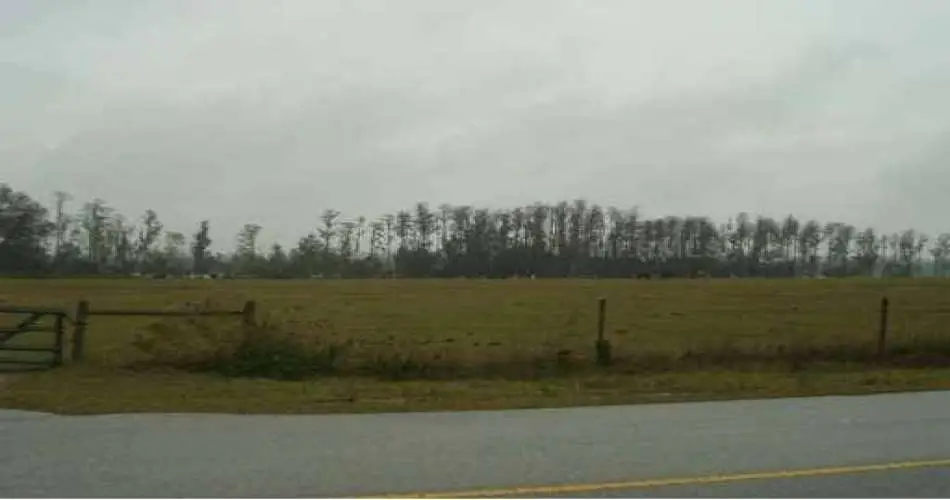 3282 Beaudry Terrace, Glendale, Los Angeles, California 91208, ,Vacant land,For sale,Beaudry Terrace,G4585784