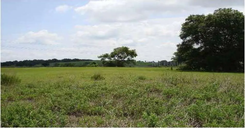 6731 Lindsey Ave, Pico Rivera, Los Angeles, California, United States 90660, ,Vacant land,For sale,Lindsey Ave,G4623004