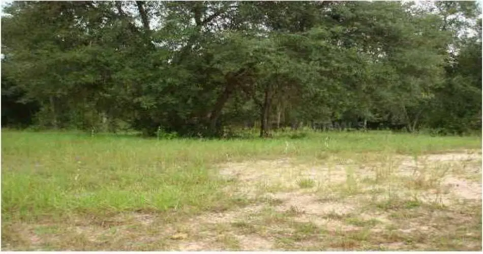 6612 Pine Bluff Dr, Whittier, Los Angeles, California, United States 90601, ,Vacant land,For sale,Pine Bluff Dr,G4625431