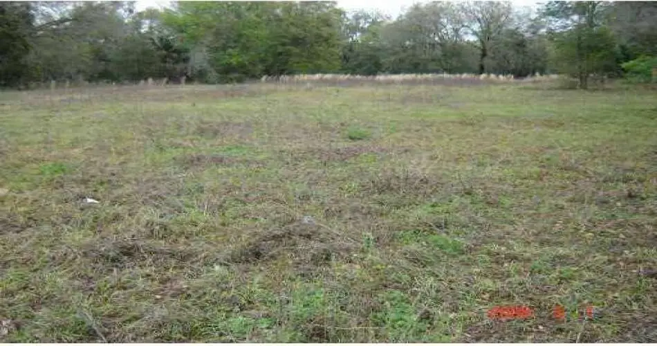 10932 Crockett St, Sun Valley, Los Angeles, California, United States 91352, ,Vacant land,For sale,Crockett St,G4637431