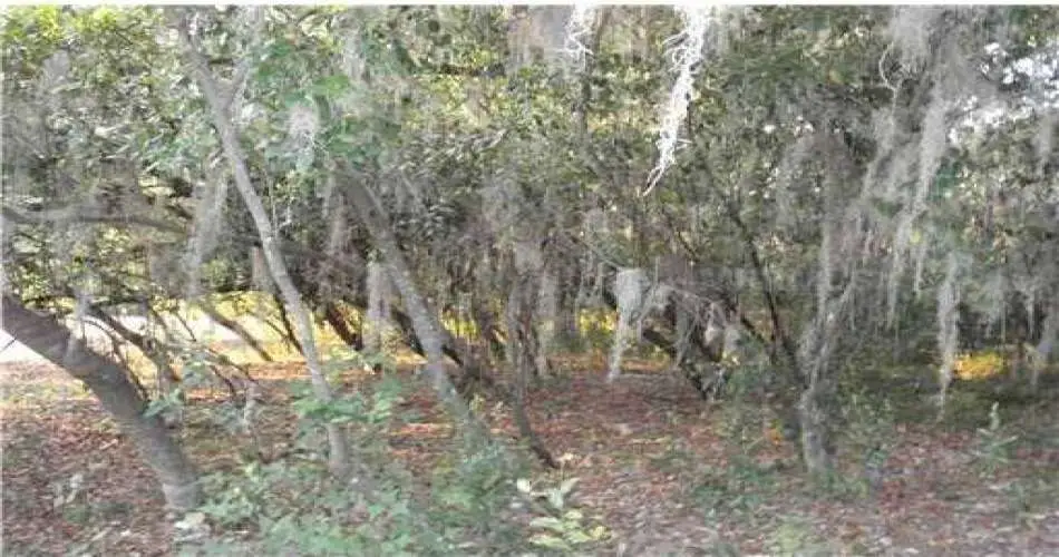 324 N 10th St, Montebello, Los Angeles, California, United States 90640, ,Vacant land,For sale,N 10th St,G4673534