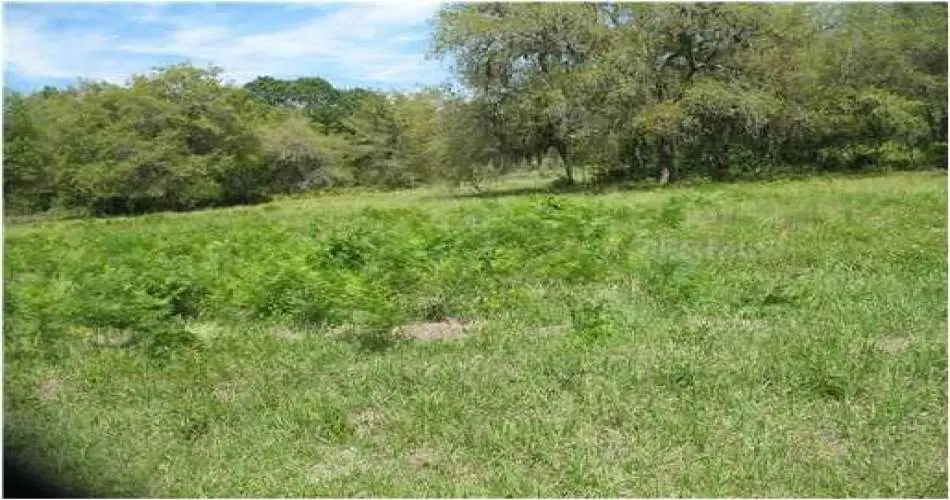 1303 E Huntington Dr, Duarte, California 91010, ,Vacant land,For sale,E Huntington Dr,G4688042