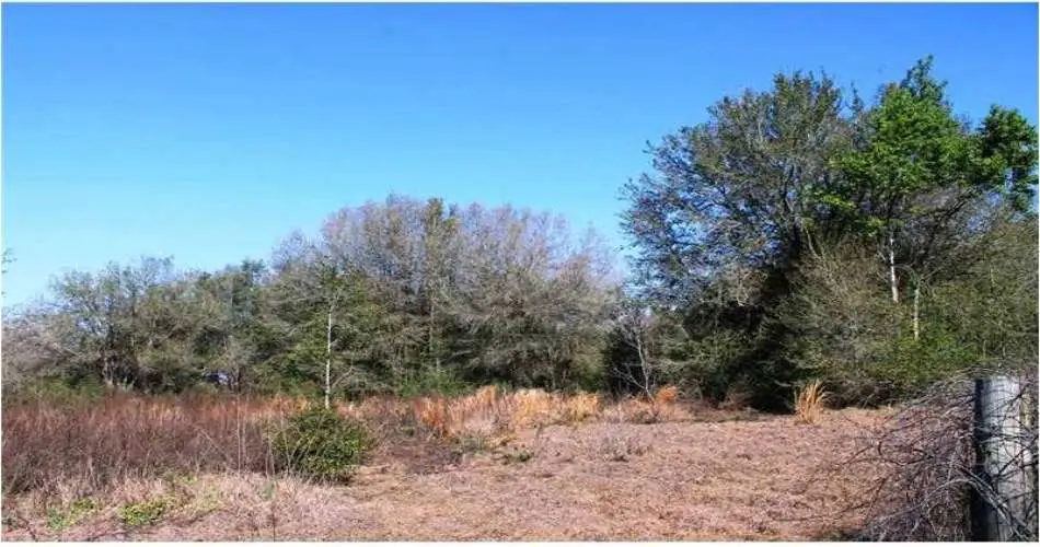 10943 Valley View Ave, Whittier, Los Angeles, California, United States 90604, ,Vacant land,For sale,Valley View Ave,G4692597