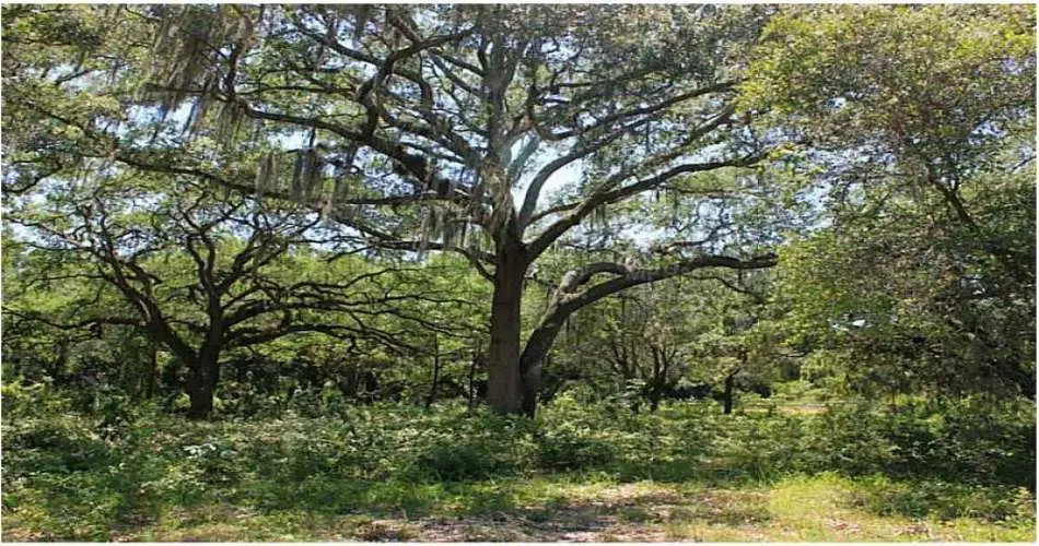 8400 Balboa Blvd, Northridge, Los Angeles, California 91329, ,Vacant land,For sale,Balboa Blvd,G4694807