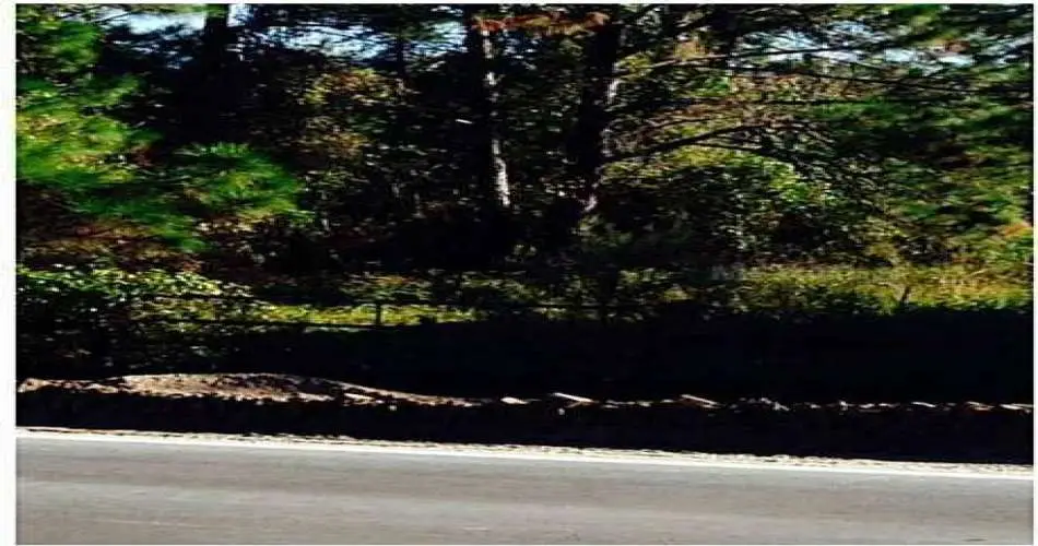 1240 Naomi Ave, Los Angeles, Los Angeles, California 90021, ,Vacant land,For sale,Naomi Ave,G4700397