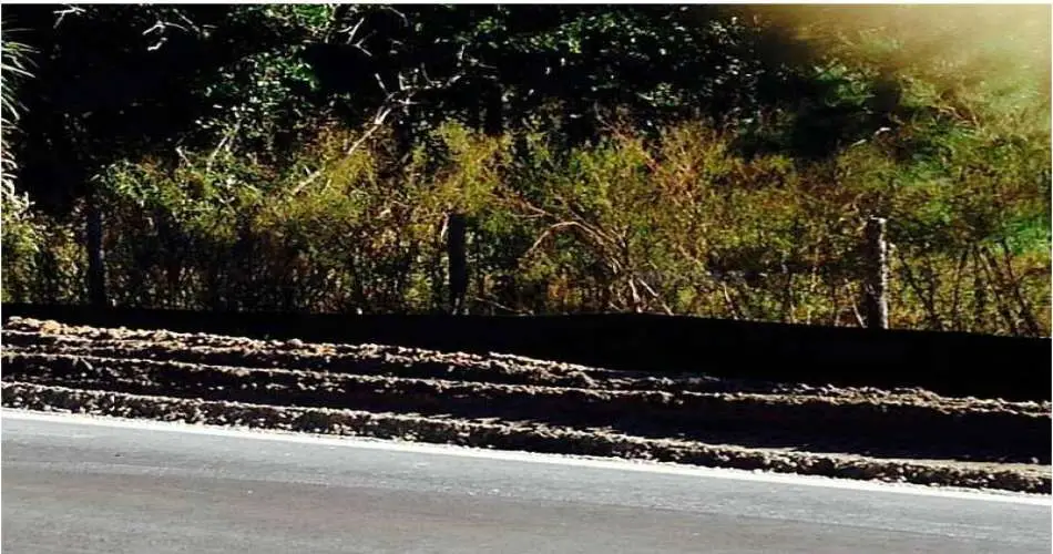 1240 Naomi Ave, Los Angeles, Los Angeles, California 90021, ,Vacant land,For sale,Naomi Ave,G4700397