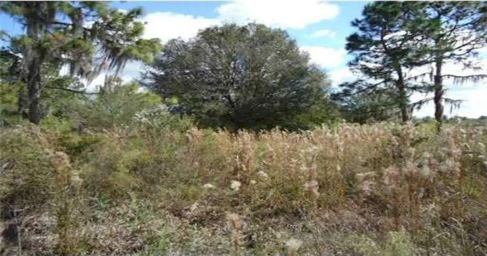 19634 Valley View Dr, Topanga, Los Angeles, California, United States 90290, ,Vacant land,For sale,Valley View Dr,L4633712