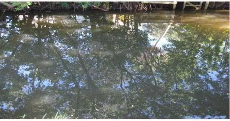 Realtyna, Los Angeles, Los Angeles, California, United States 90052, ,Vacant land,For sale,M5807828