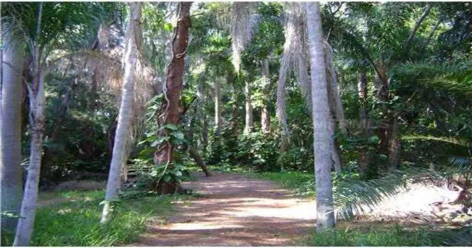 Realtyna, 331 Concord St, El Segundo, Los Angeles, California, United States 90245, ,Vacant land,For sale,Concord St,M5819507