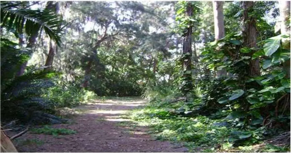 Realtyna, 331 Concord St, El Segundo, Los Angeles, California, United States 90245, ,Vacant land,For sale,Concord St,M5819507