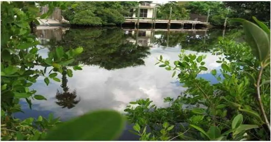 15612 Ruthelen St, Gardena, Los Angeles, California, United States 90249, ,Vacant land,For sale,Ruthelen St,M5821279