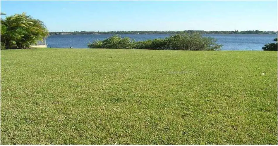 1732 W 45th St, Los Angeles, Los Angeles, California, United States 90062, ,Vacant land,For sale,W 45th St,M5832856