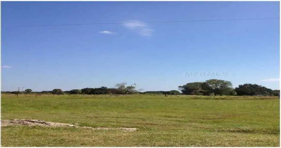 10519 Pangborn Ave, Downey, Los Angeles, California, United States 90241, ,Vacant land,For sale,Pangborn Ave,M5833025