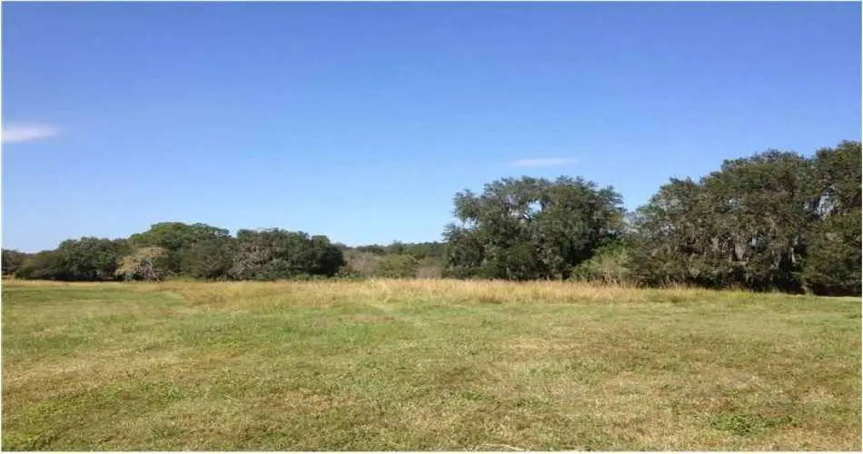 10519 Pangborn Ave, Downey, Los Angeles, California, United States 90241, ,Vacant land,For sale,Pangborn Ave,M5833025