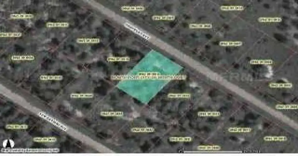 317 Peck Dr, Beverly Hills, Los Angeles, California, United States 90212, ,Vacant land,For sale,Peck Dr,N487402