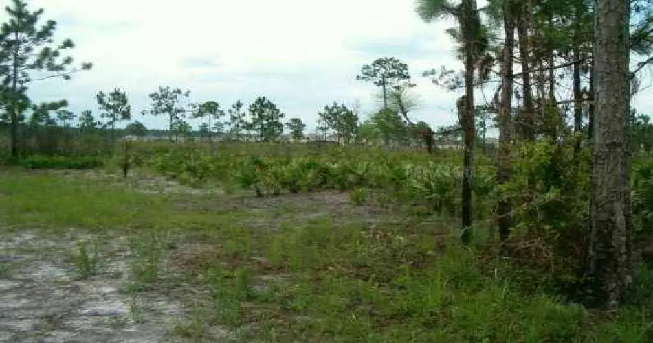 21930 Horst Ave, Hawaiian Gardens, Los Angeles, California, United States 90716, ,Vacant land,For sale,Horst Ave,O4693377