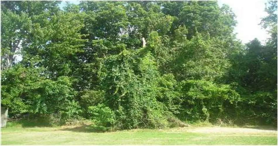 20223 Gifford St, Winnetka, California 91306, ,Vacant land,For sale,Gifford St,O4751219