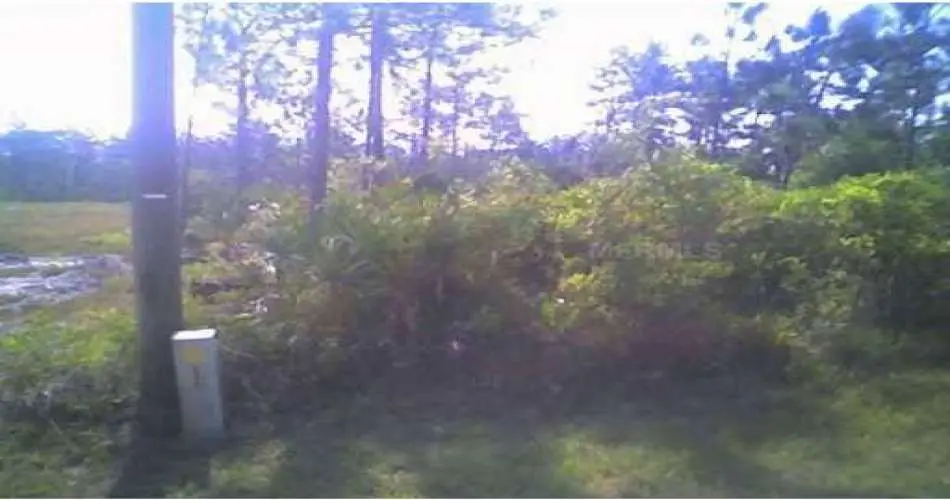 11519 Flossmoor Rd, Santa Fe Springs, California 90670, ,Vacant land,For sale,Flossmoor Rd,O4771262