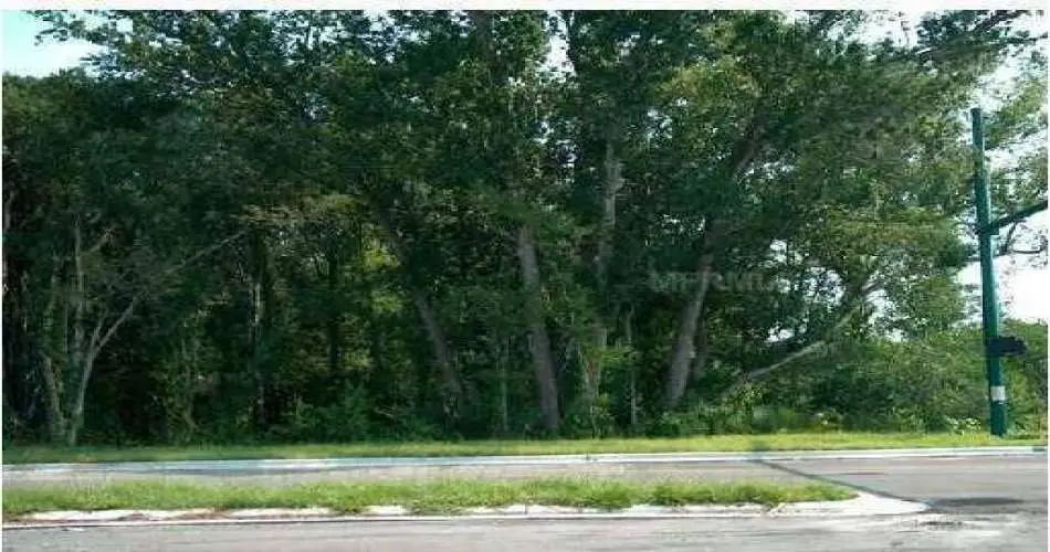 7116 Haskell Ave, Van Nuys, Los Angeles, California, United States 91406, ,Vacant land,For sale,Haskell Ave,O4796462