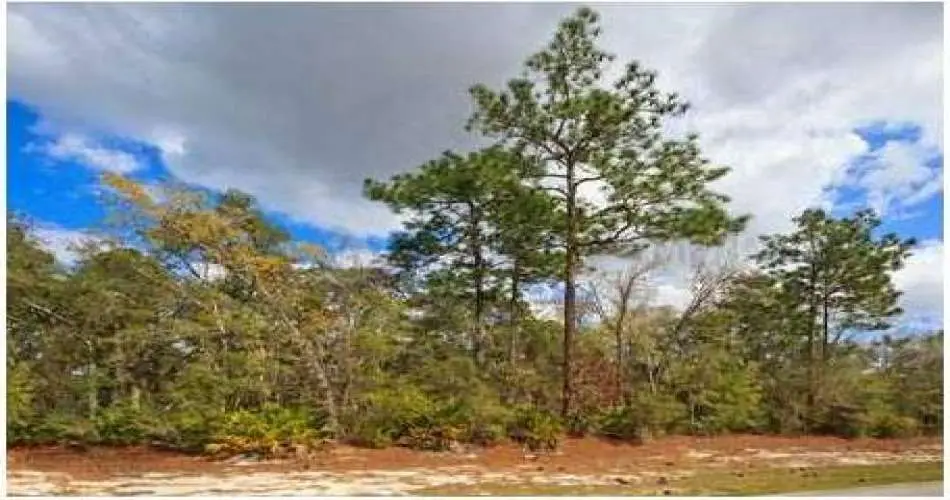 13804 El Espejo Rd, La Mirada, Los Angeles, California, United States 90638, ,Vacant land,For sale,El Espejo Rd,O5090125