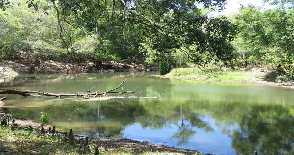 2935 W Carson St, Torrance, Los Angeles, California 90503, ,Vacant land,For sale,W Carson St,O5181682