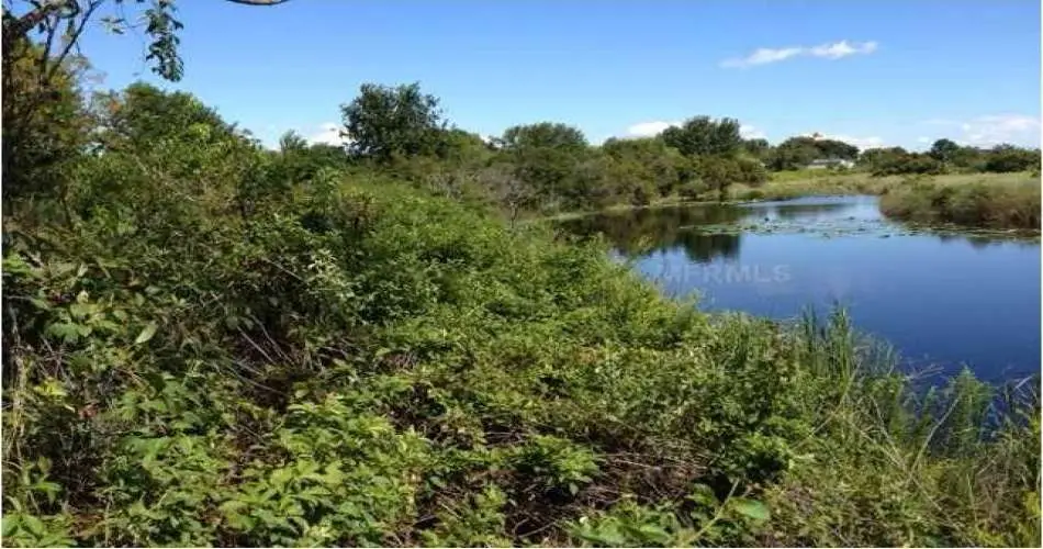 410 N Adams St, Glendale, Los Angeles, California 91206, ,Vacant land,For sale,N Adams St,O5191269