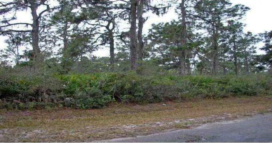 13609 Ector St, La Puente, Los Angeles, California 91746, ,Vacant land,For sale,Ector St,P4601972