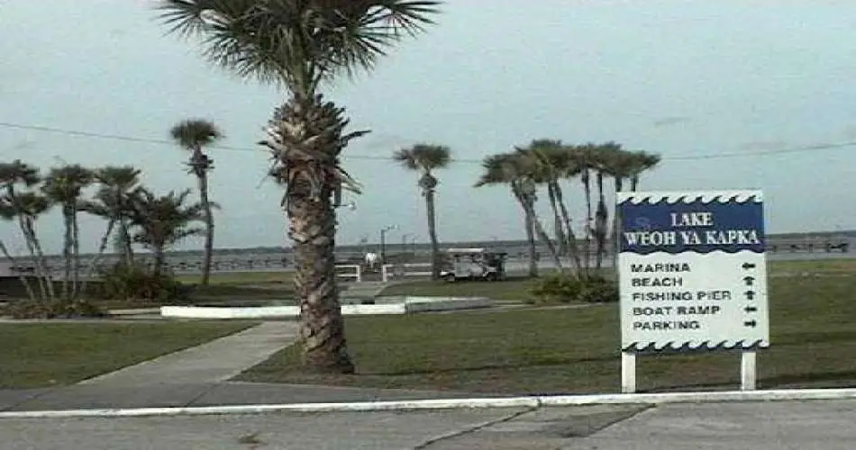 13609 Ector St, La Puente, Los Angeles, California 91746, ,Vacant land,For sale,Ector St,P4601972