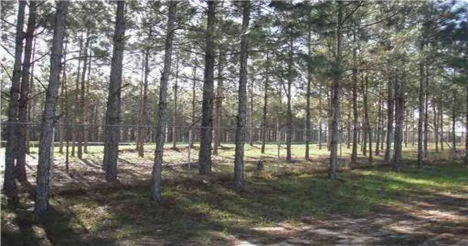 Manhattan Beach, Los Angeles, California 90267, ,Vacant land,For sale,P4620034