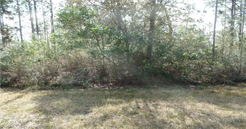 Downey, Los Angeles, California 90239, ,Vacant land,For sale,P4623782