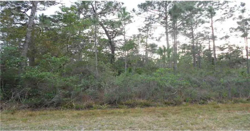 Downey, Los Angeles, California 90239, ,Vacant land,For sale,P4623782