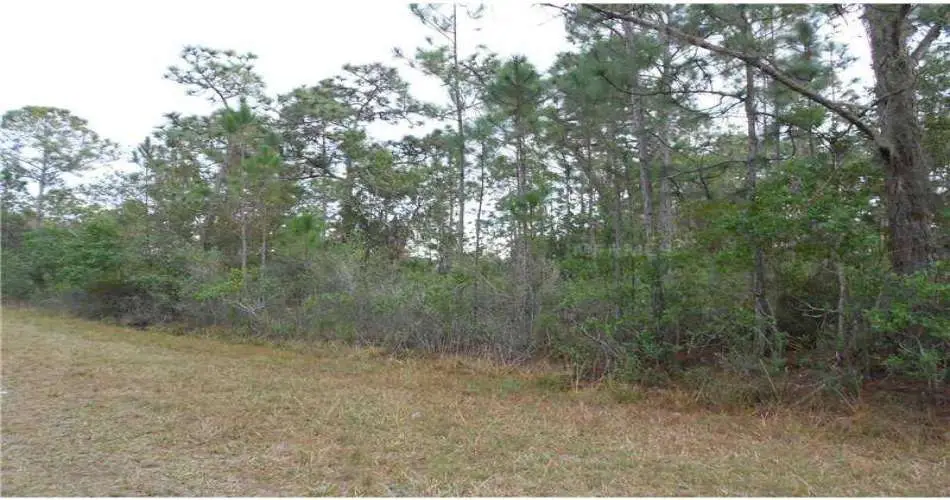 Downey, Los Angeles, California 90239, ,Vacant land,For sale,P4623782