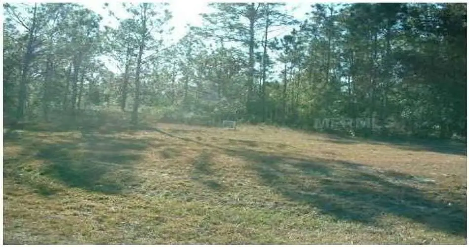 Los Angeles, Los Angeles, California 90050, ,Vacant land,For sale,P4629085