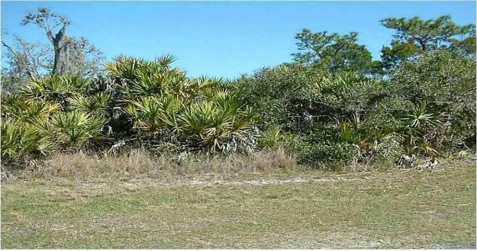 3718 Floral Dr, Los Angeles, Los Angeles, California 90063, ,Vacant land,For sale,Floral Dr,P4629544