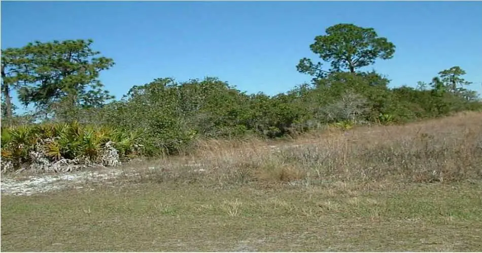 Santa Monica, Los Angeles, California 90406, ,Vacant land,For sale,P4629545