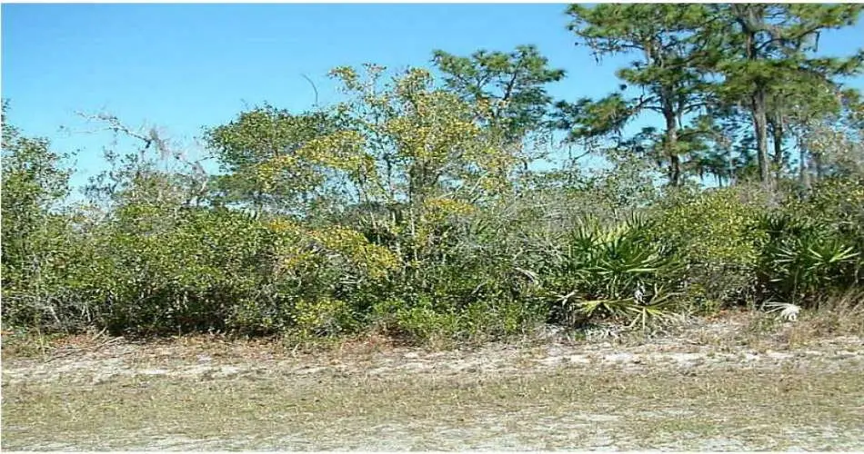 Whittier, Los Angeles, California 90612, ,Vacant land,For sale,P4629636