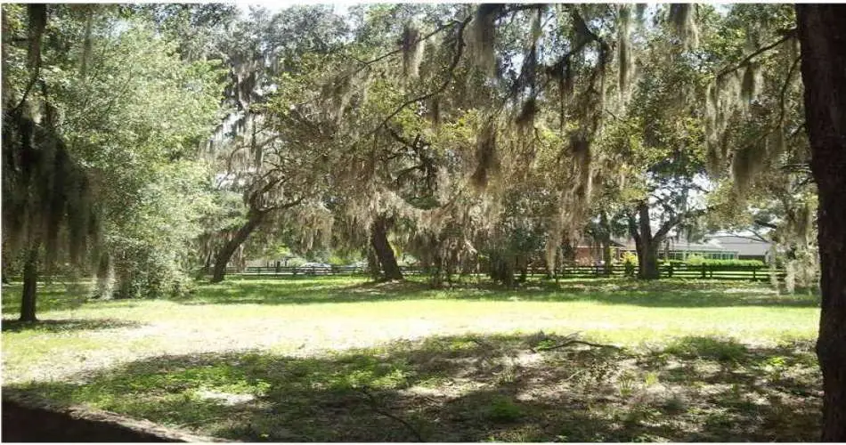 3001 Arrowhead Dr, Los Angeles, Los Angeles, California 90068, ,Vacant land,For sale,Arrowhead Dr,R4600178