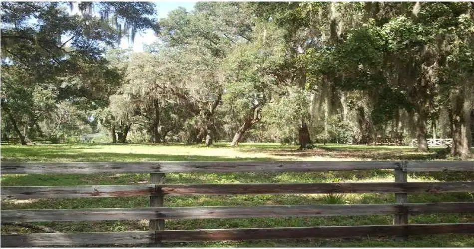 3001 Arrowhead Dr, Los Angeles, Los Angeles, California 90068, ,Vacant land,For sale,Arrowhead Dr,R4600178