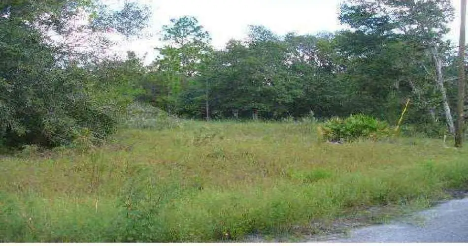 Long Beach, Los Angeles, California 90822, ,Vacant land,For sale,S4630461