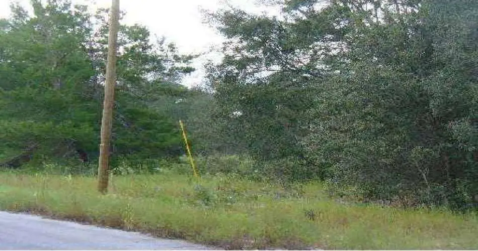 Long Beach, Los Angeles, California 90822, ,Vacant land,For sale,S4630461