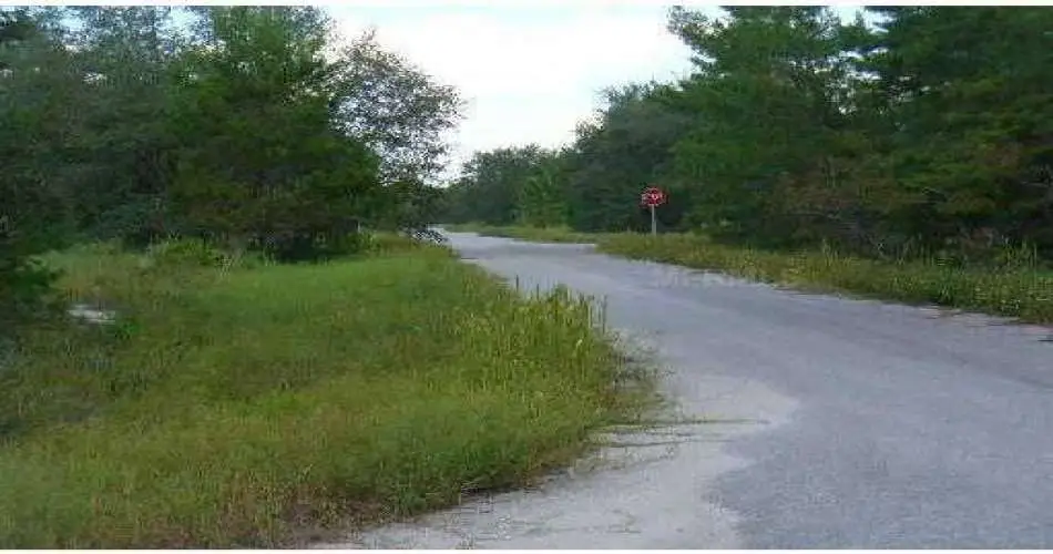 Long Beach, Los Angeles, California 90822, ,Vacant land,For sale,S4630461