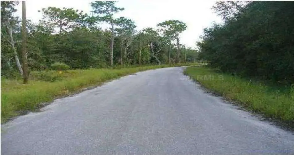 Long Beach, Los Angeles, California 90822, ,Vacant land,For sale,S4630461