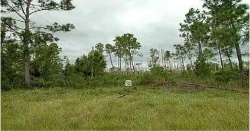 Wilmington, Los Angeles, California 90748, ,Vacant land,For sale,S4666166