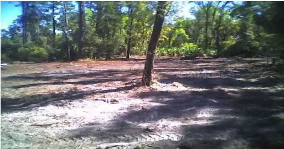 La Mirada, Los Angeles, California 90639, ,Vacant land,For sale,S4702217